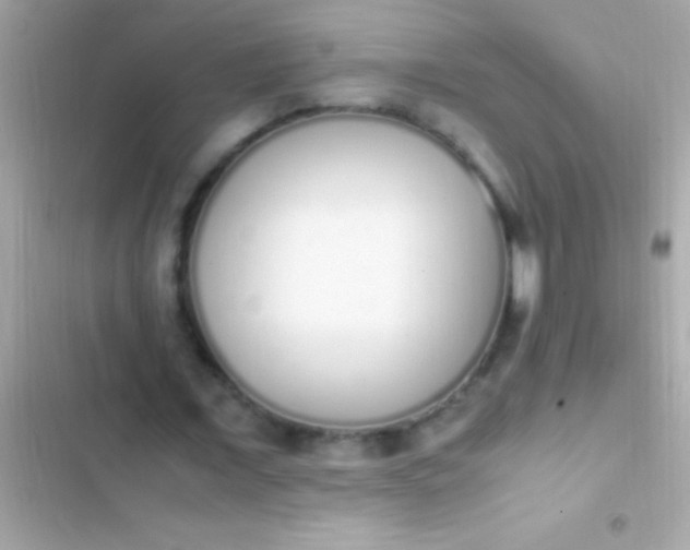 X0000103330675200809192205