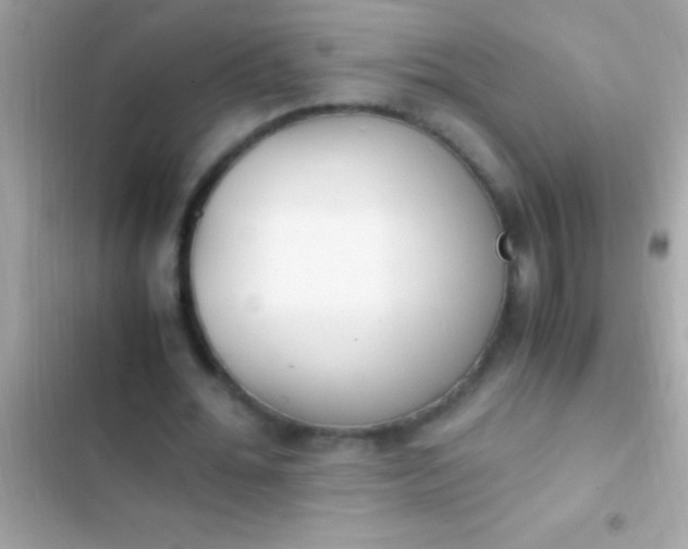 X0000103330676200809192205