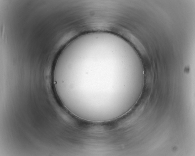 X0000103330677200809192205