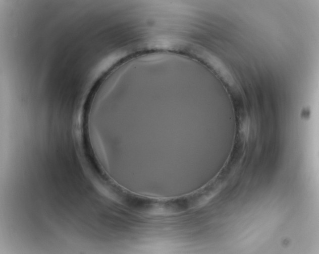 X0000103330678200809192205