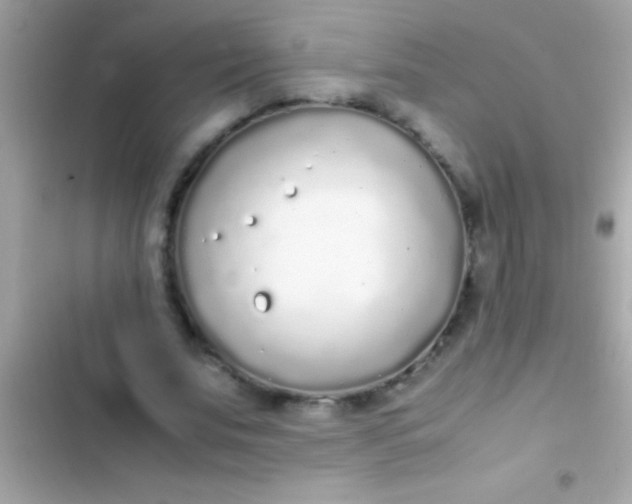 X0000103330679200809192205