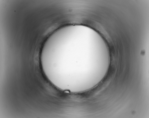 X0000103330681200809192205