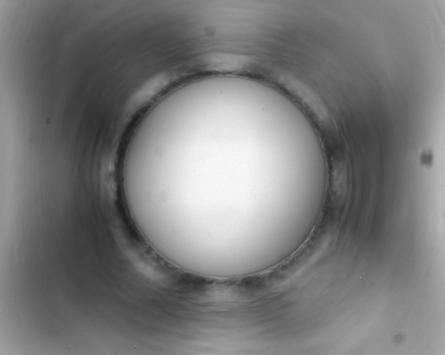 X0000103330682200809192205