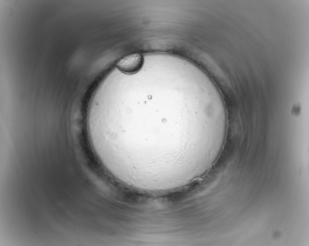 X0000103330683200809192205