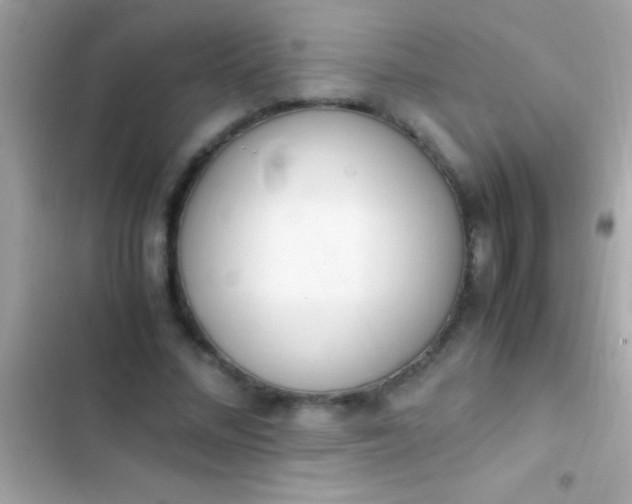 X0000103330684200809192205