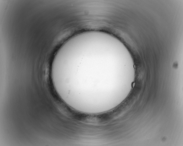 X0000103330685200809192205