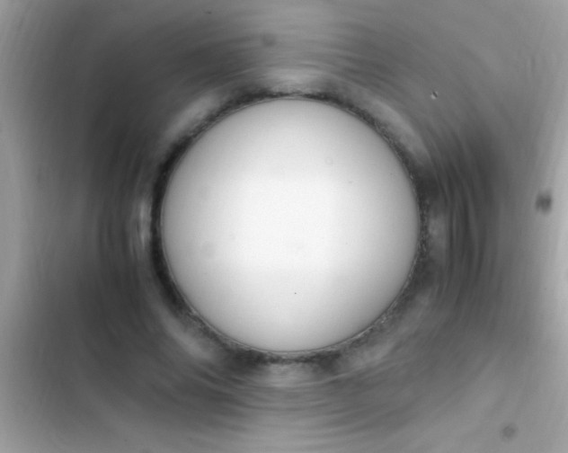 X0000103330686200809192205