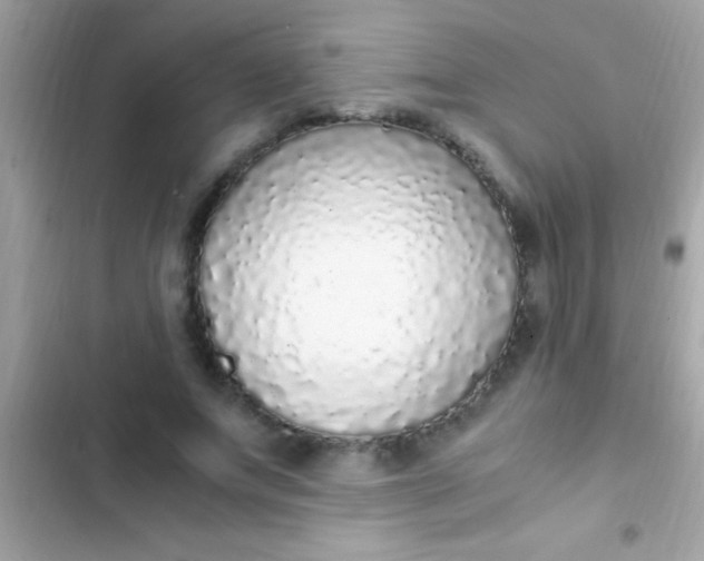 X0000103330687200809192205