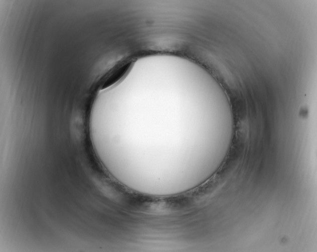 X0000103330688200809192205