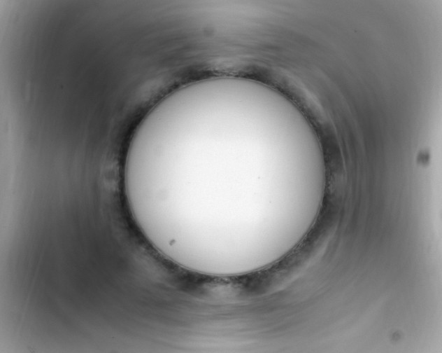 X0000103330689200809192205