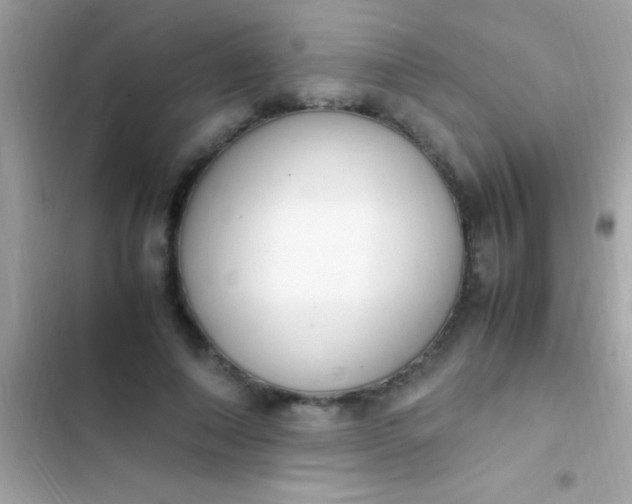 X0000103330690200809192205