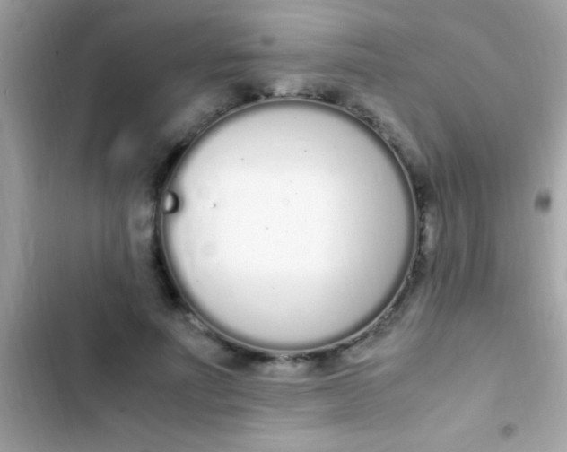 X0000103330691200809192205