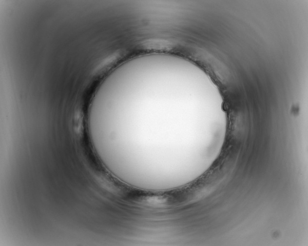 X0000103330692200809192205