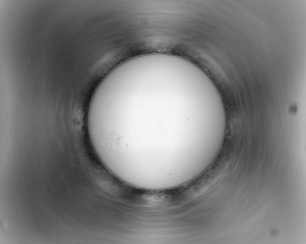 X0000103330693200809192205