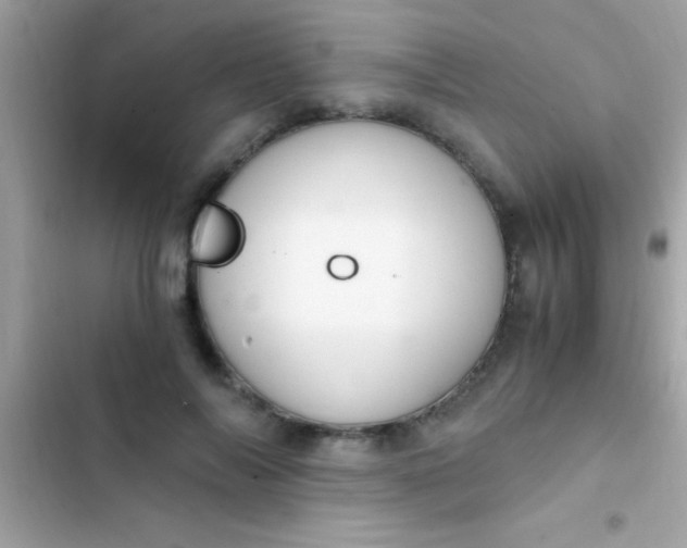 X0000103330694200809192205