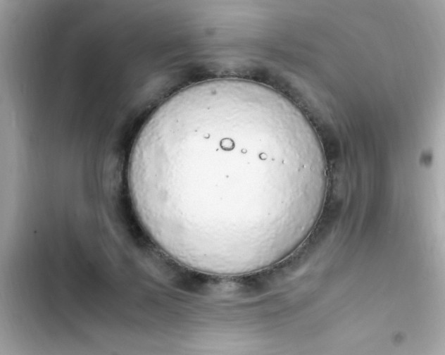 X0000103330695200809192205