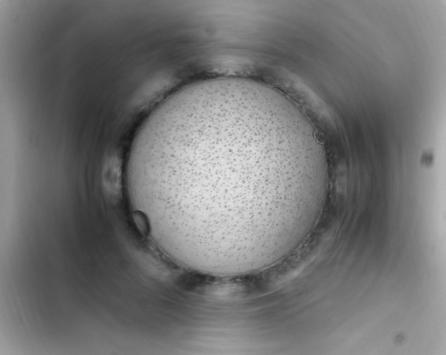 X0000103330696200809192205