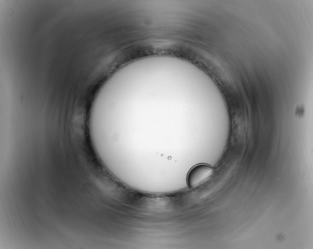 X0000103330698200809192205