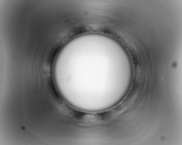 X0000103330699200809192205