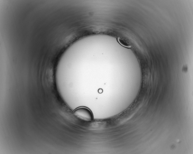 X0000103330700200809192205