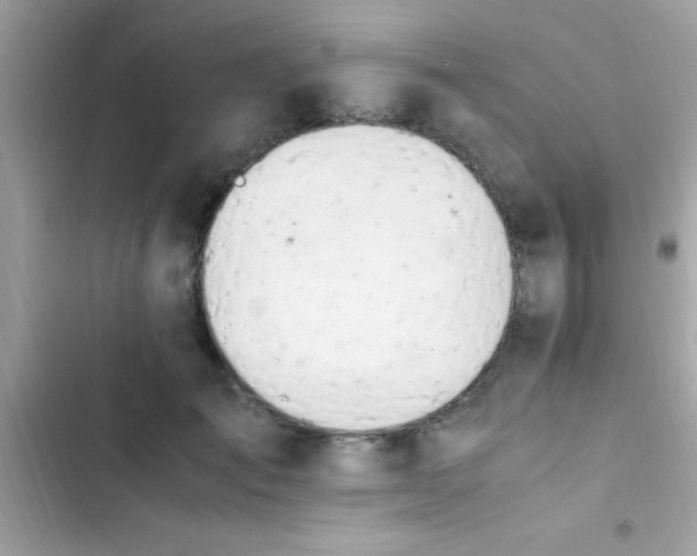 X0000103330701200809192205