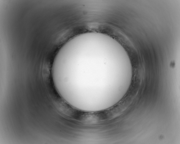 X0000103330702200809192205