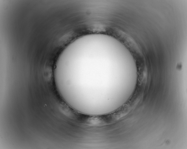 X0000103330704200809192204