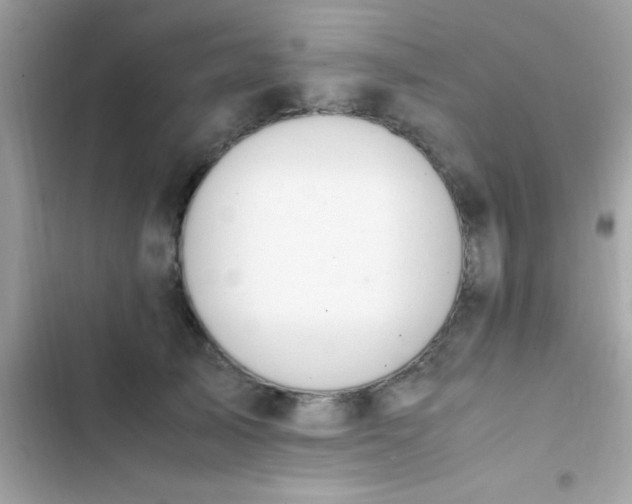 X0000103330705200809192204