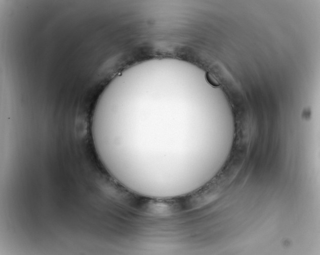 X0000103330706200809192204