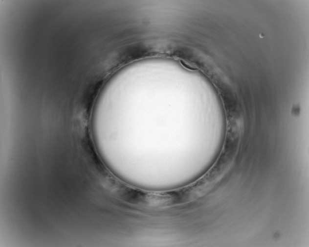 X0000103330707200809192204