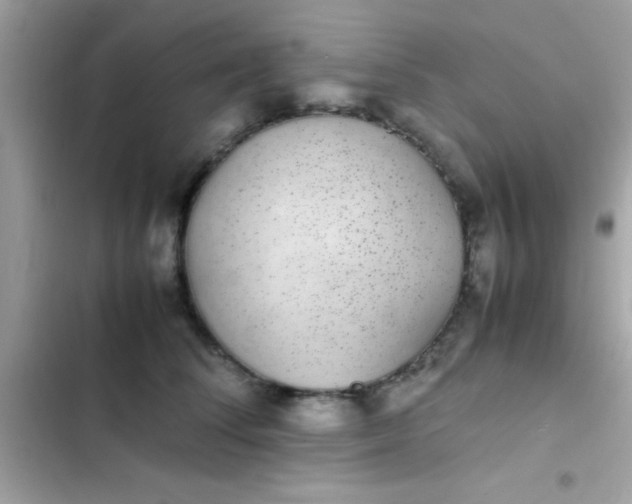 X0000103330708200809192204