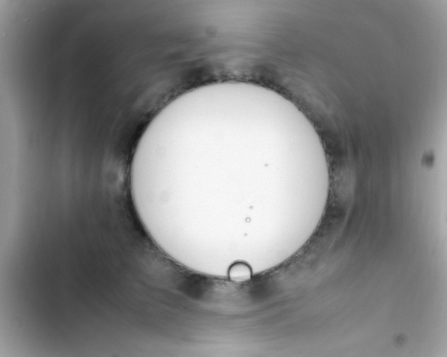 X0000103330709200809192204