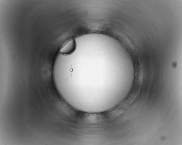 X0000103330710200809192204