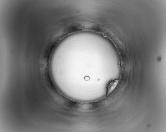 X0000103330711200809192204