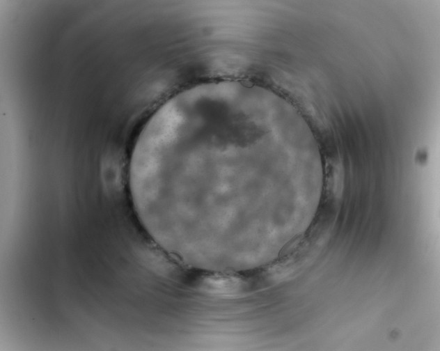 X0000103330712200809192204