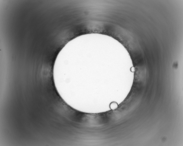 X0000103330713200809192204