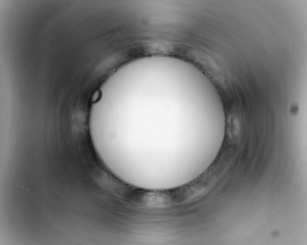 X0000103330714200809192204