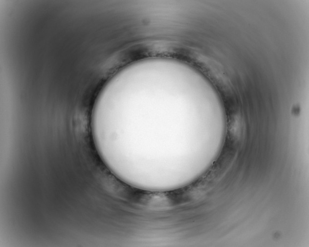 X0000103330715200809192204