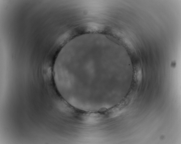 X0000103330716200809192204