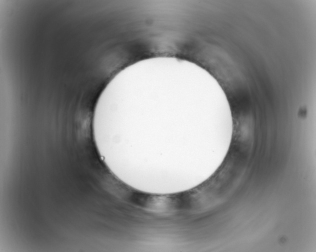 X0000103330717200809192204