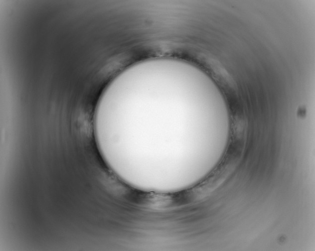 X0000103330719200809192204