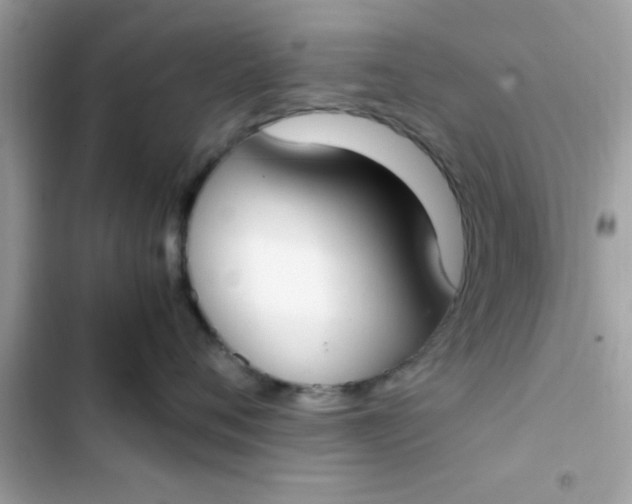 X0000103330720200809192204