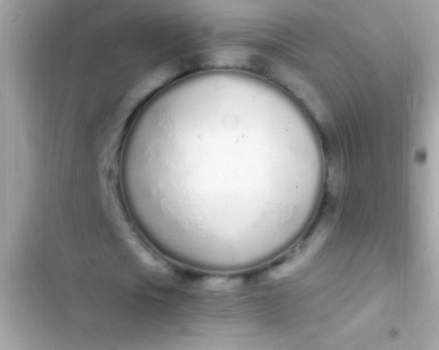 X0000103330721200809192204