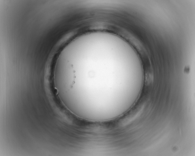 X0000103330724200809192204