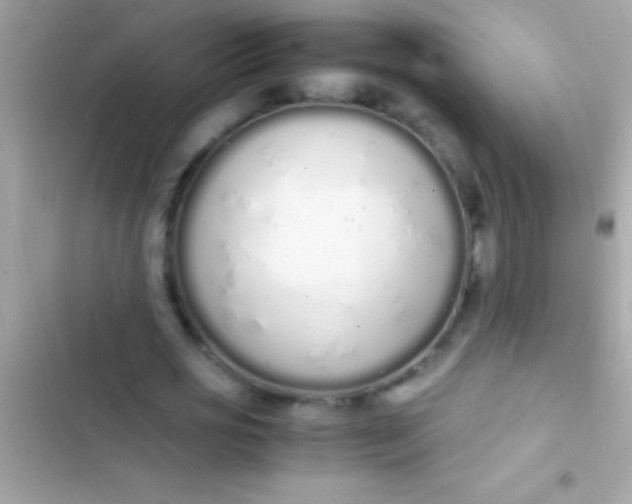 X0000103330725200809192204