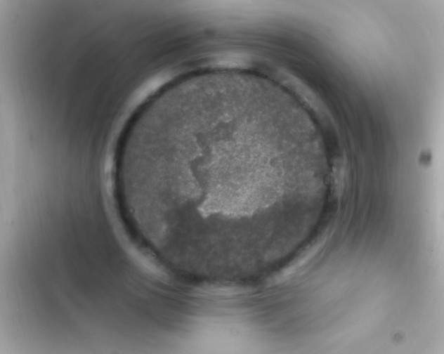 X0000103330726200809192204