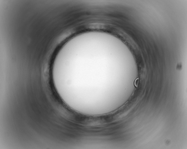 X0000103330727200809192204