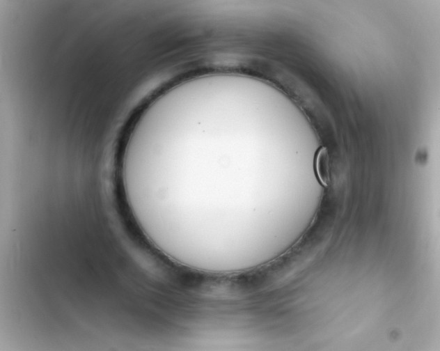 X0000103330728200809192204