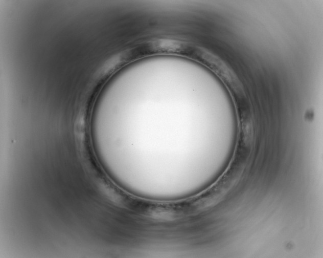 X0000103330729200809192204