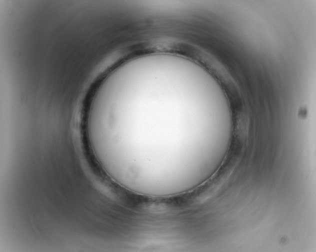 X0000103330730200809192204